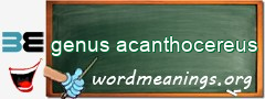 WordMeaning blackboard for genus acanthocereus